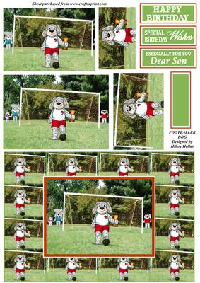 Footballer Dog