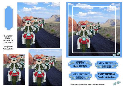 Barkley Biker Leader of the Pack