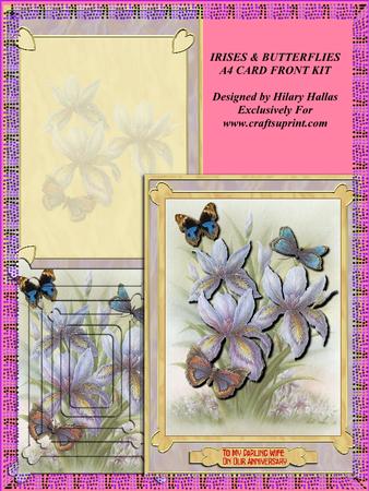 Irises & Butterflies A4 Card Front Kit