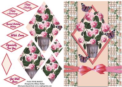 Pale Pink Roses
