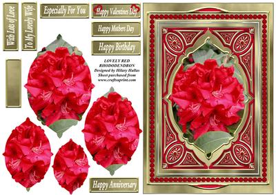 Lovely Red Rhododendron