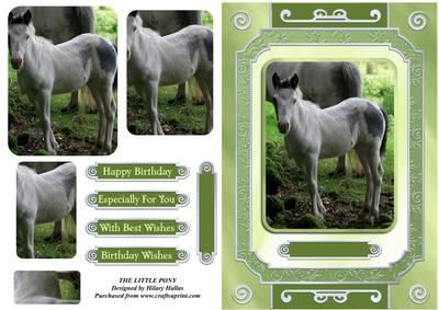 The Little Pony