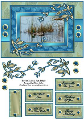 Ducks Among the Reeds