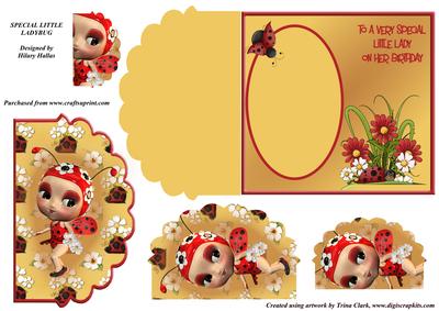 Special Little Ladybug