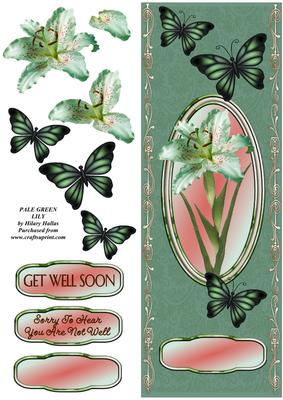 Pale Green Lily