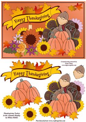 Thanksgiving Turkey in the Autumn Display
