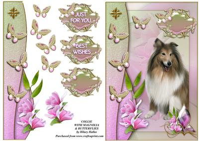 Collie with Magnolia & Butterflies