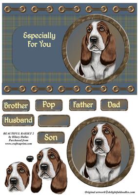 Beautiful Basset 2