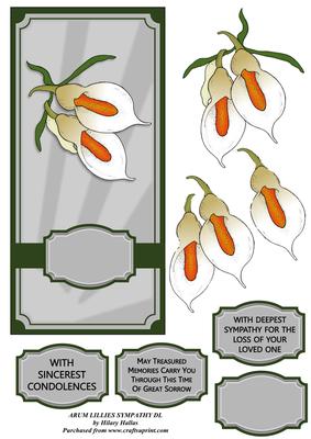 Arum Lillies Sympathy Dl