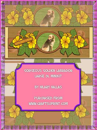 Gorgeous Golden Labrador Large Dl Minikit