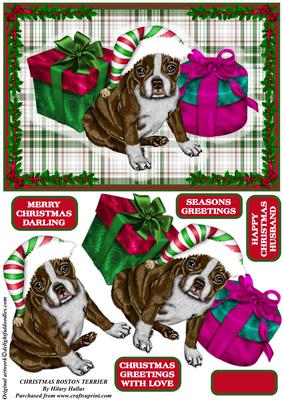 Christmas Boston Terrier