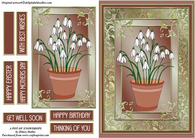A Pot of Snowdrops