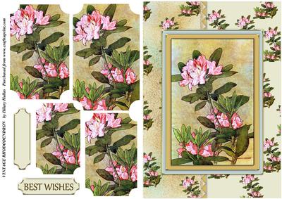 Vintage Rhododendron