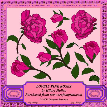 Lovely Pink Roses