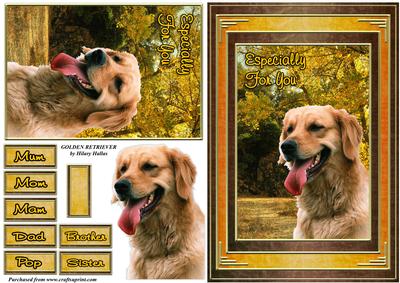 Golden Retriever
