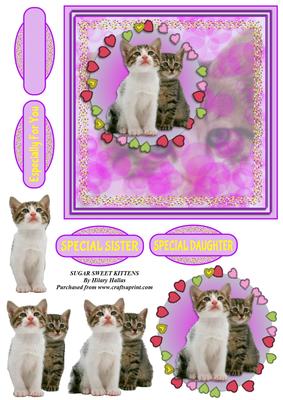 Sugar Sweet Kittens
