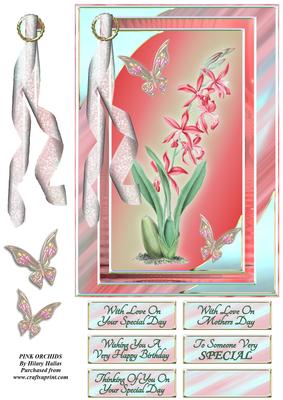 Pink Orchids