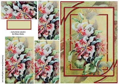 Japanese Lilies