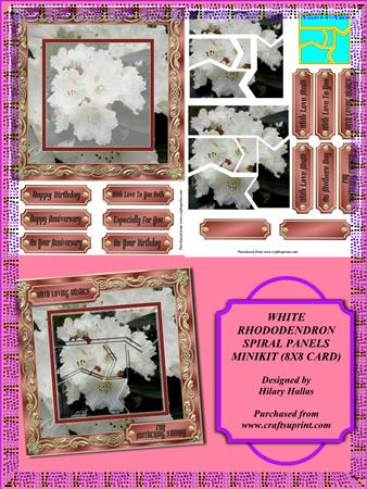 White Rhododendron Spiral Panels Minikit