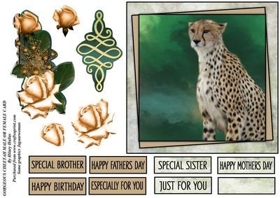 Gorgeous Cheetah Male or Female Card