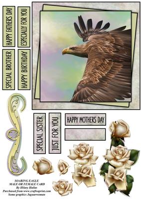 Soaring Eagle Male or Female Card