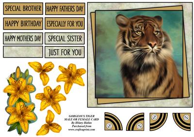 Gorgeous Tiger Male or Female Card