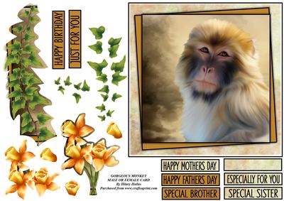 Gorgeous Monkey Male or Female Card