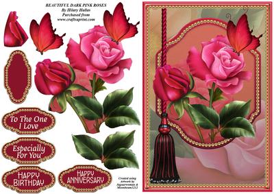 Beautiful Dark Pink Roses