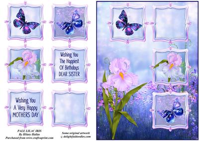 Pale Lilac Iris