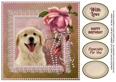 Gorgeous Puppy with Lace Ribbon & Pearls