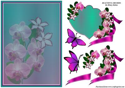 Beautiful Orchids