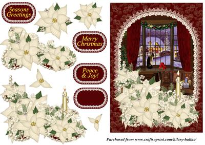 White Poinsettia