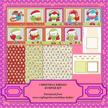 Christmas Birdies Bumper Kit