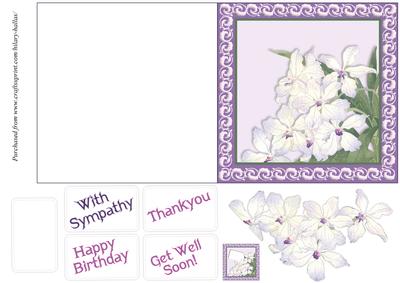 Flowers for Any Occasion