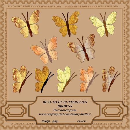 Beautiful Butterflies - Browns