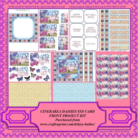 Cinerarea Daisies 8x8 Card Front Project Kit