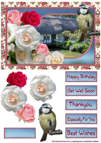 Cottage With Roses & Bluetit