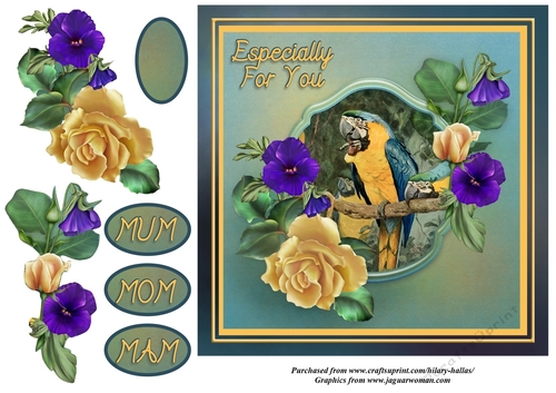 Parrot With Roses & Pansies