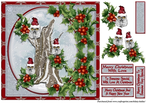 Christmas Owls With Holly