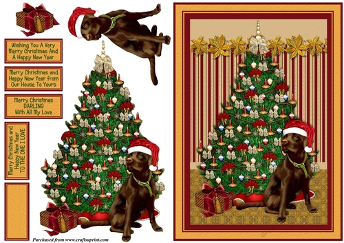 Chocolate Lab In Santa Hat