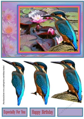 Kingfisher & Waterlillies