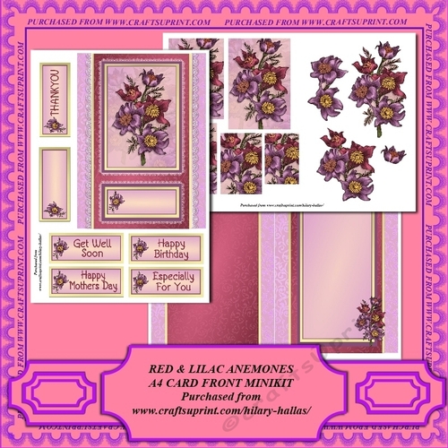 Red & Lilac Anemones A5 Card Front Minikit