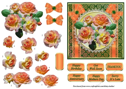Peachy Roses & Ribbons