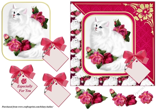 Fluffy White Cat & Roses