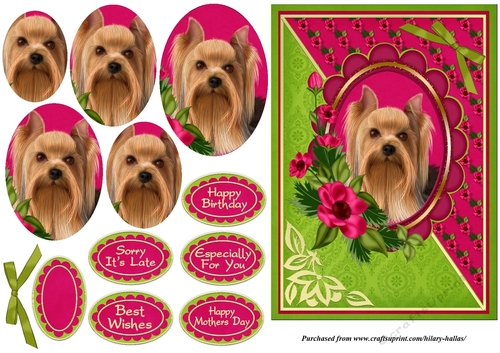 Yorkie With Pink Flowers