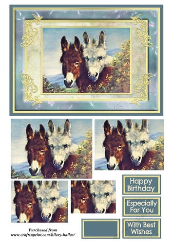 A Pair Of Donkeys