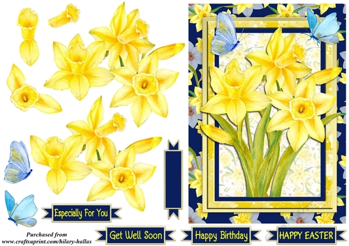 Watercolour Daffodils & Butterflies