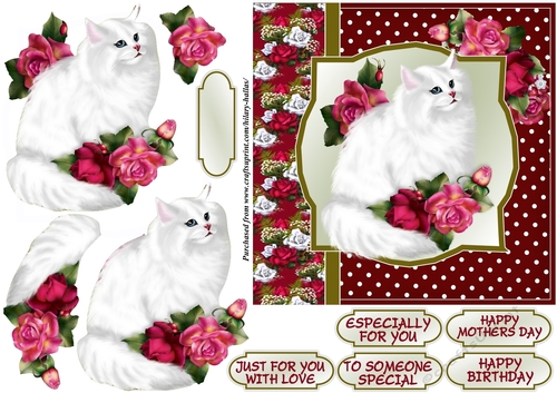 Fluffy White Cat With Roses