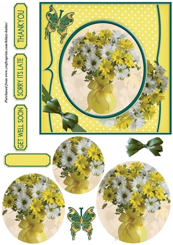Yellow & White Daisies