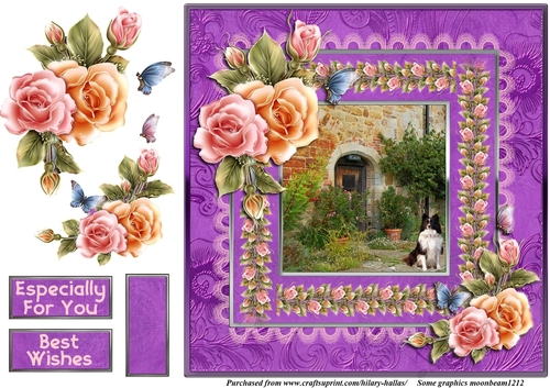 Country Cottage With Dog & Roses